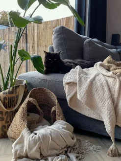 Sæt af 2 kurve KAELLA Jute Sand Beige