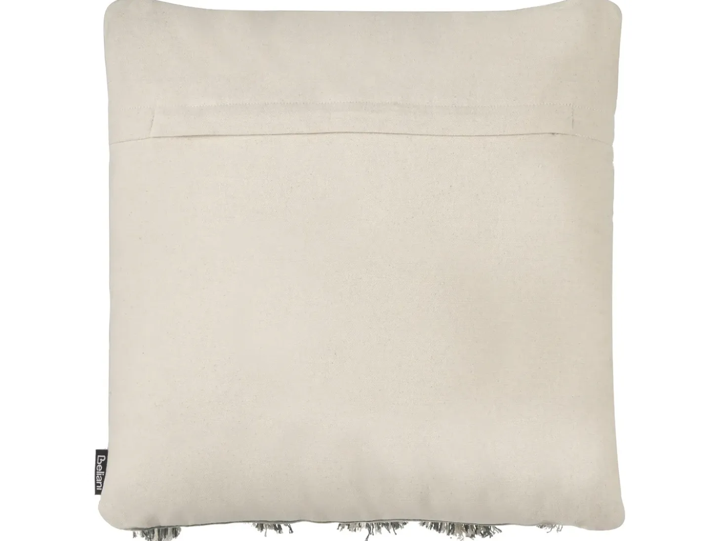 Sæt af 2 pyntepuder ALOCASIA Bomuld 45 x 45 cm Beige Geometrisk mønster