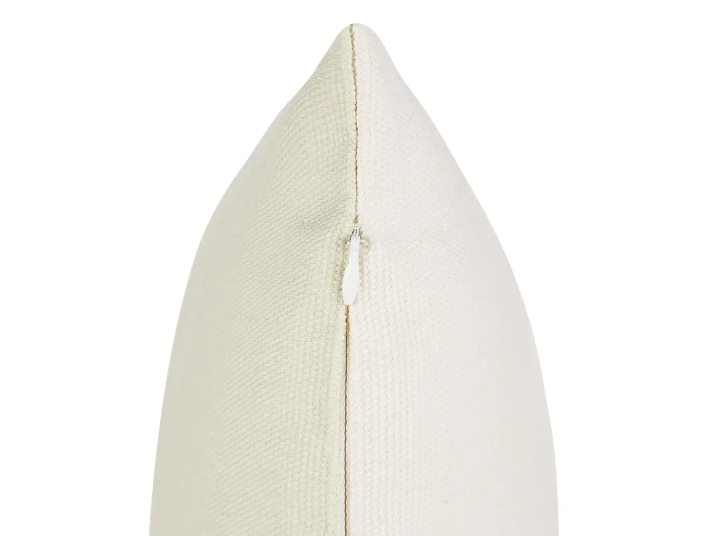Sæt af 2 pyntepuder DAVALLIA 45 x 45 cm Beige Plante mønster