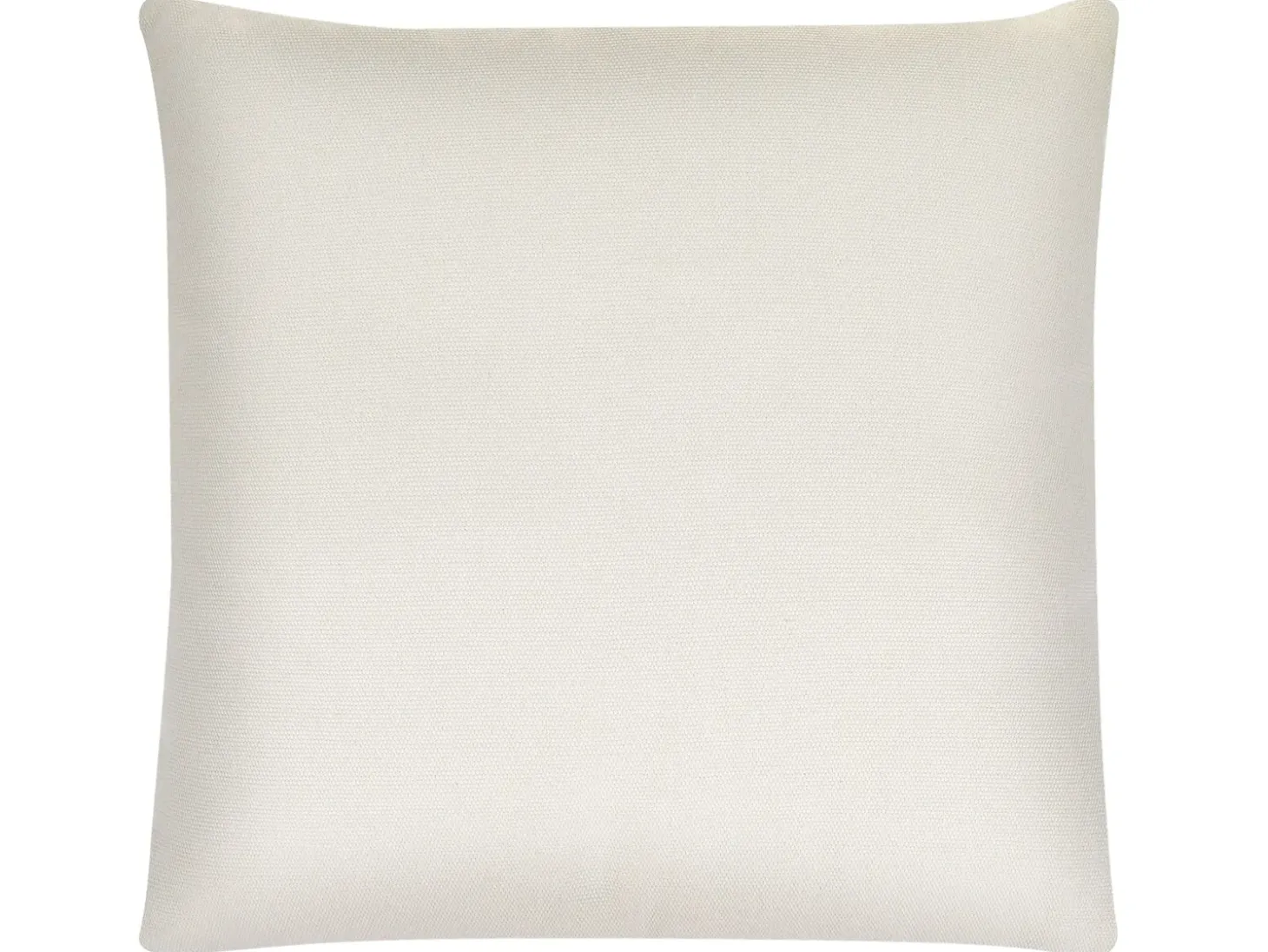Sæt af 2 pyntepuder DAVALLIA 45 x 45 cm Beige Plante mønster