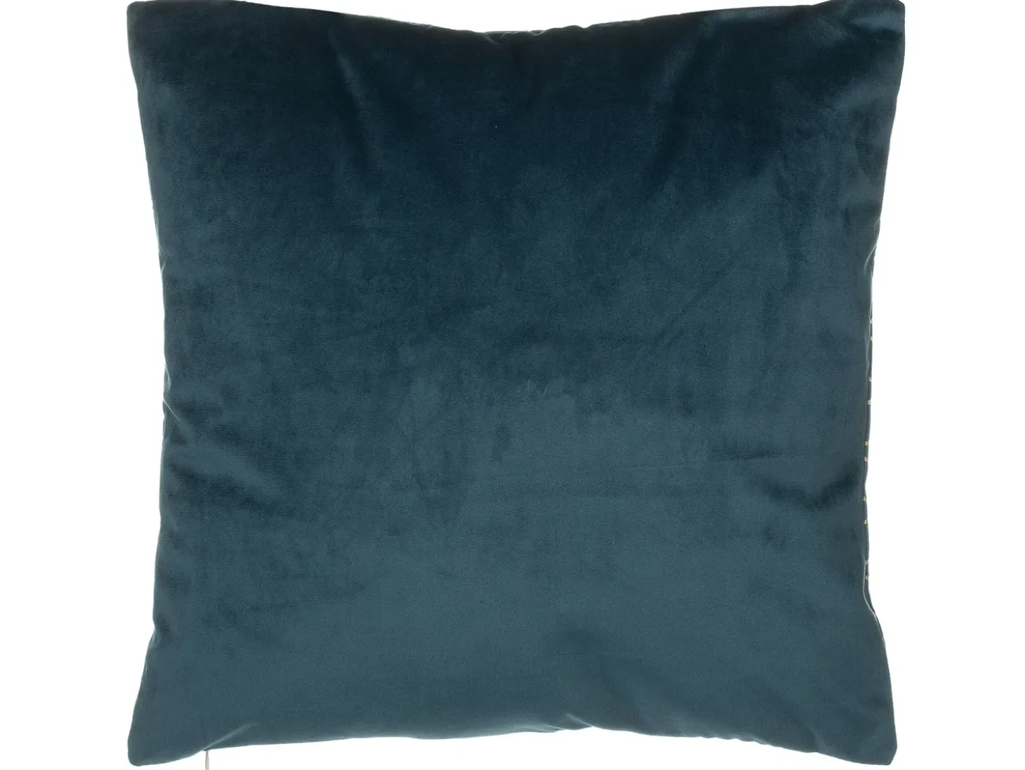 Sæt af 2 pyntepuder FREESIA Velour 45 x 45 cm Blågrøn Plante mønster