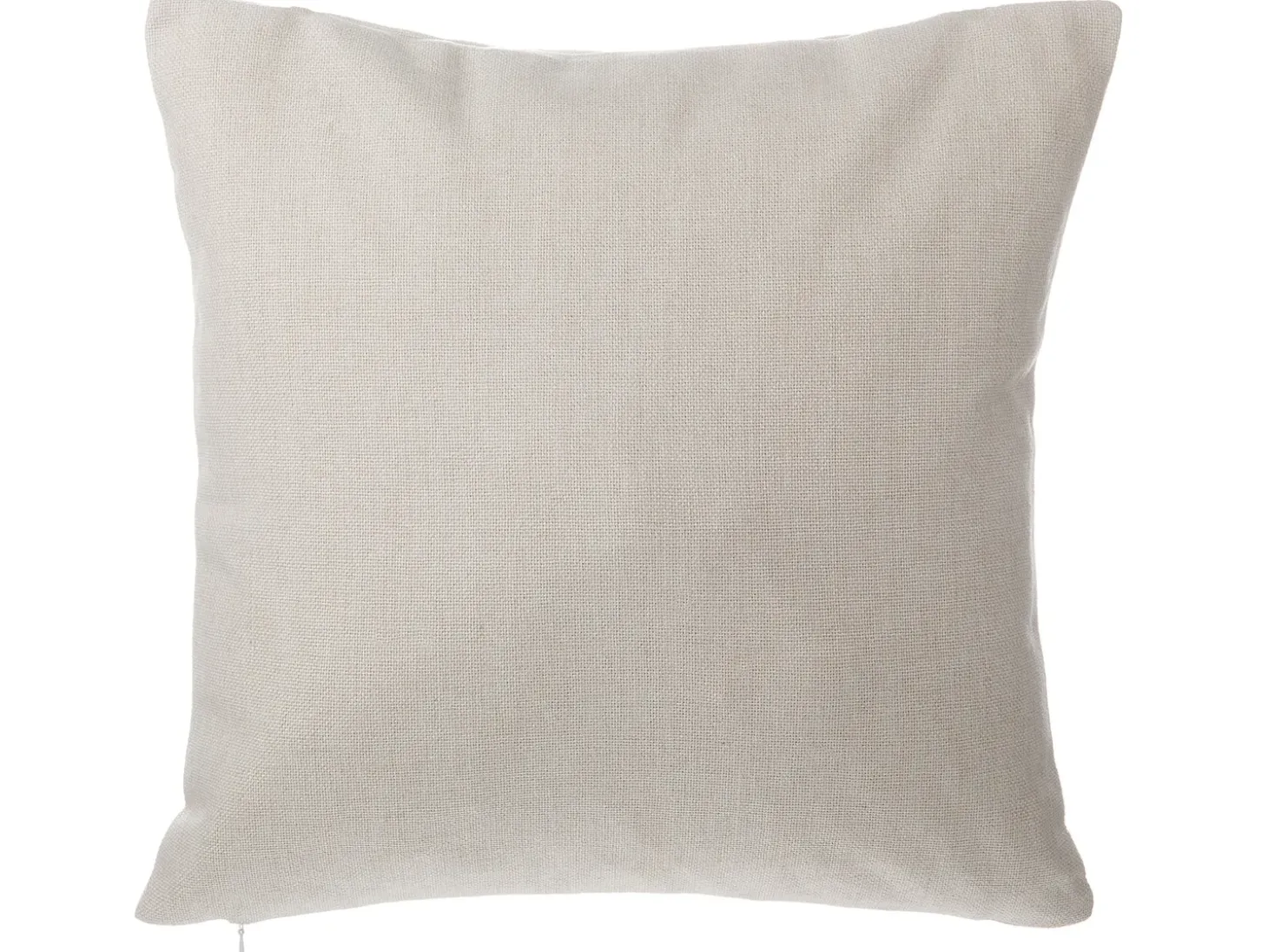 Sæt af 2 pyntepuder GAURA 45 x 45 cm Lys Beige Ensfarvet