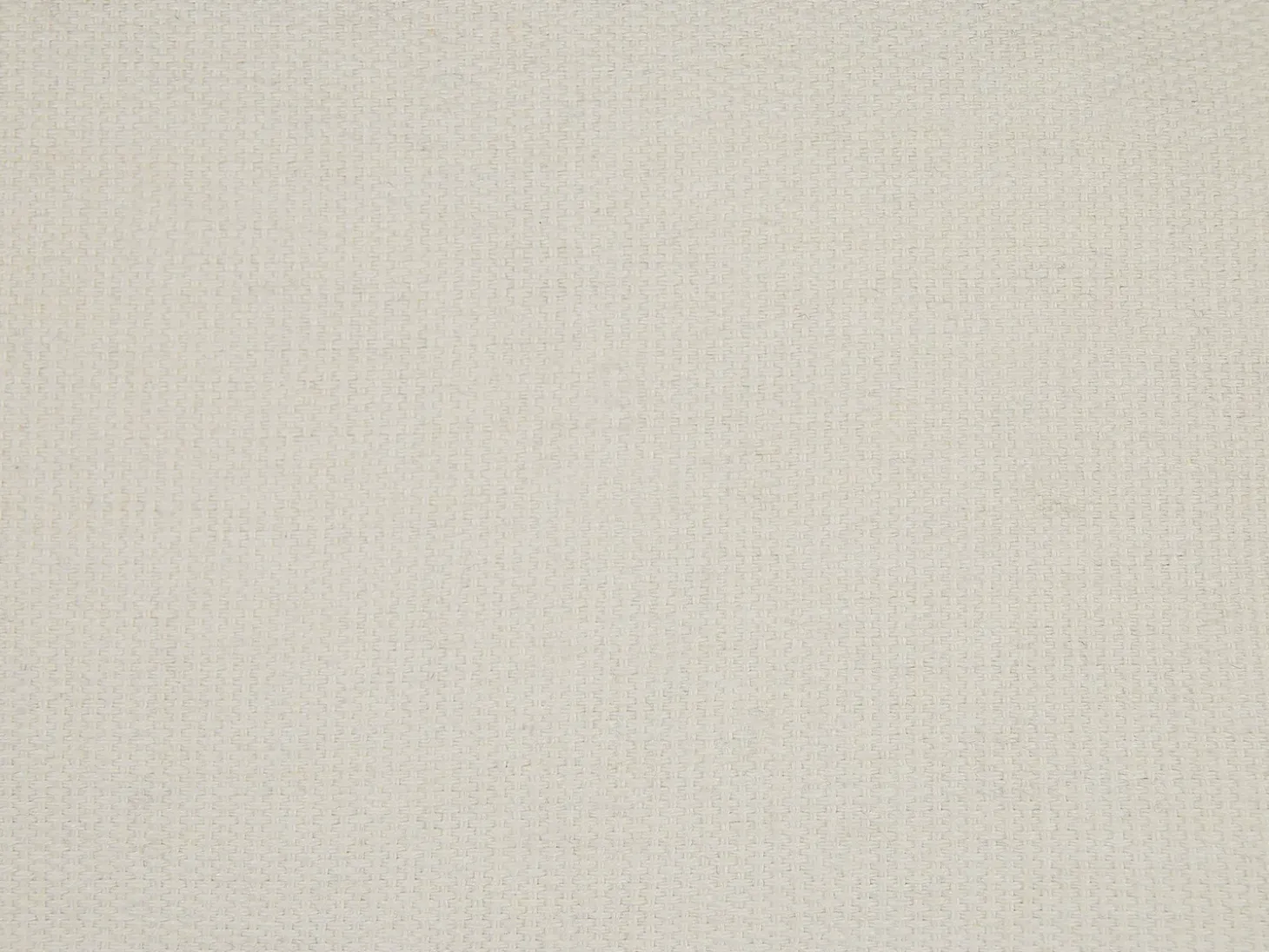 Sæt af 2 pyntepuder HELIOTROPE 45 x 45 cm Hvid Ensfarvet