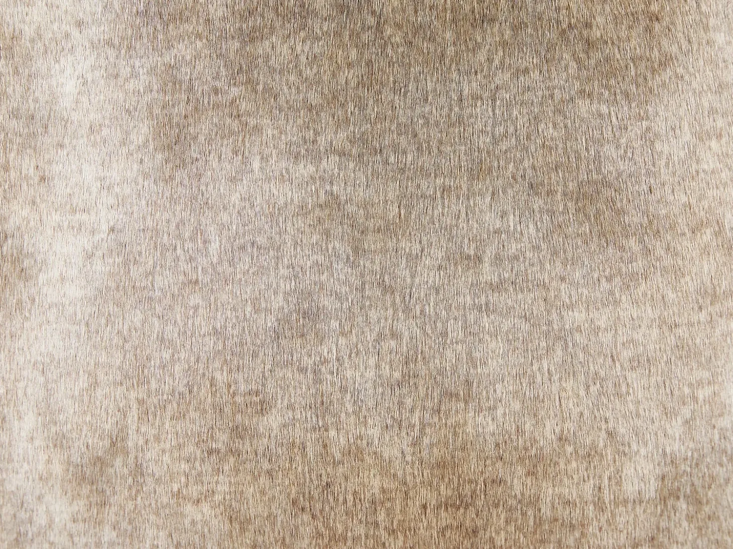 Sæt af 2 pyntepuder HORDEUM Kunstig pels 45 x 45 cm Lysebrun Ensfarvet