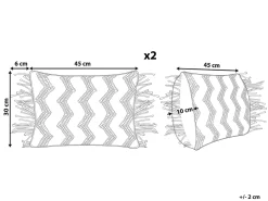 Sæt af 2 pyntepuder KIRIKKALE Bomuld 30 x 45 cm Grå Geometrisk mønster