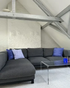 Sæt af 2 pyntepuder RHOEO Bomuld 45 x 45 cm Lilla