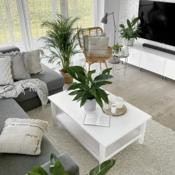 Sæt af 2 pyntepuder VAYALI Bomuld 45 x 45 cm Beige Stribet mønster