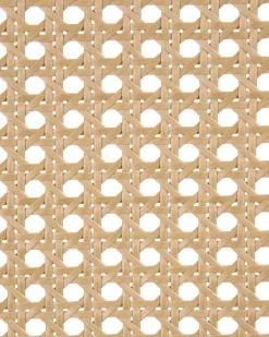 Sæt med 2 barstole AVA Træ Brun/lys beige