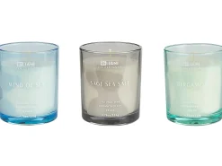 Sæt med 3 duftlys SHEER JOY Soja voks Fresh notes