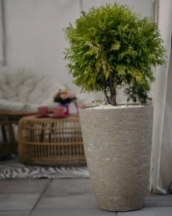 Sæt med 2 plantekrukker CAMIA 43 cm Beige