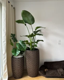 Sæt med 2 plantekrukker CEDRUS 37/45 cm Brun PE-rattan