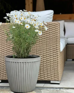 Sæt med 2 plantekrukker POKA 36 cm Brungrå
