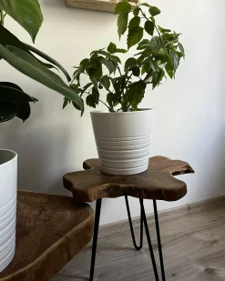 Sæt med 2 sideborde CAMROSE Teaktræ Mørkebrun