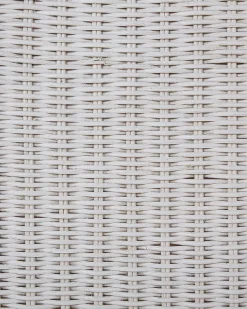 Sæt med 2 spisebordsstole ANDES Rattan Hvid