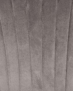 Sæt med 2 spisebordsstole AUGUSTA Velour Grå