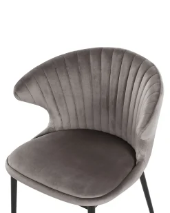Sæt med 2 spisebordsstole AUGUSTA Velour Grå
