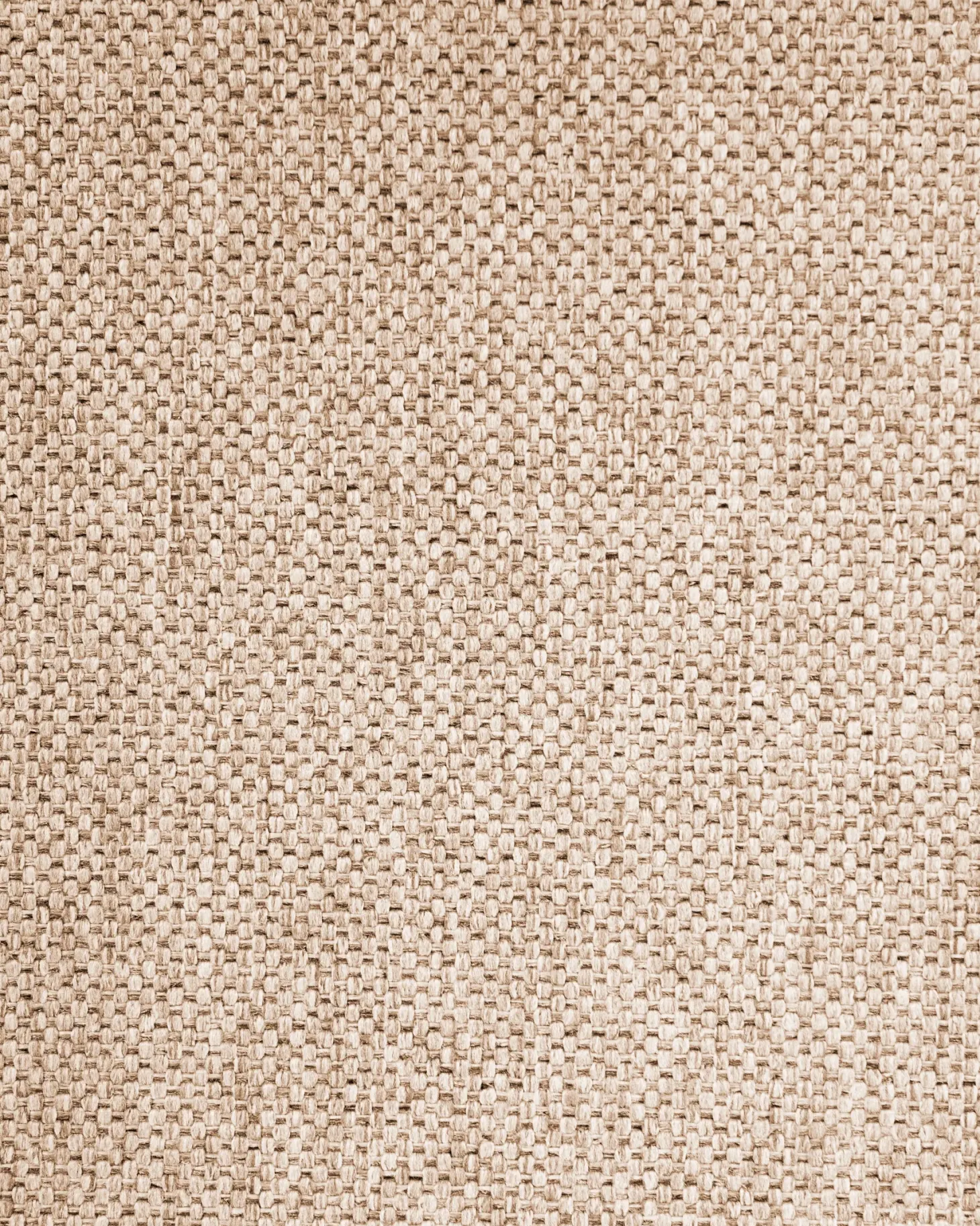 Sæt med 2 spisebordsstole DAY Lysebrun/taupe