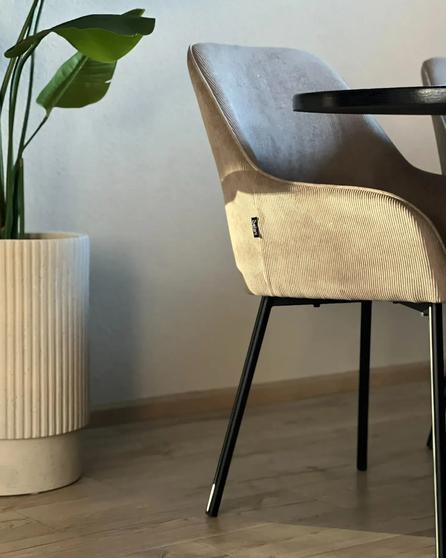 Sæt med 2 spisebordsstole LOVERNA Fløjl Beige