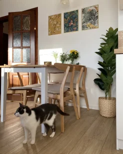 Sæt med 2 spisebordsstole LYNN Træ Lysebrun/beige