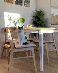 Sæt med 2 spisebordsstole LYNN Træ Lysebrun/beige