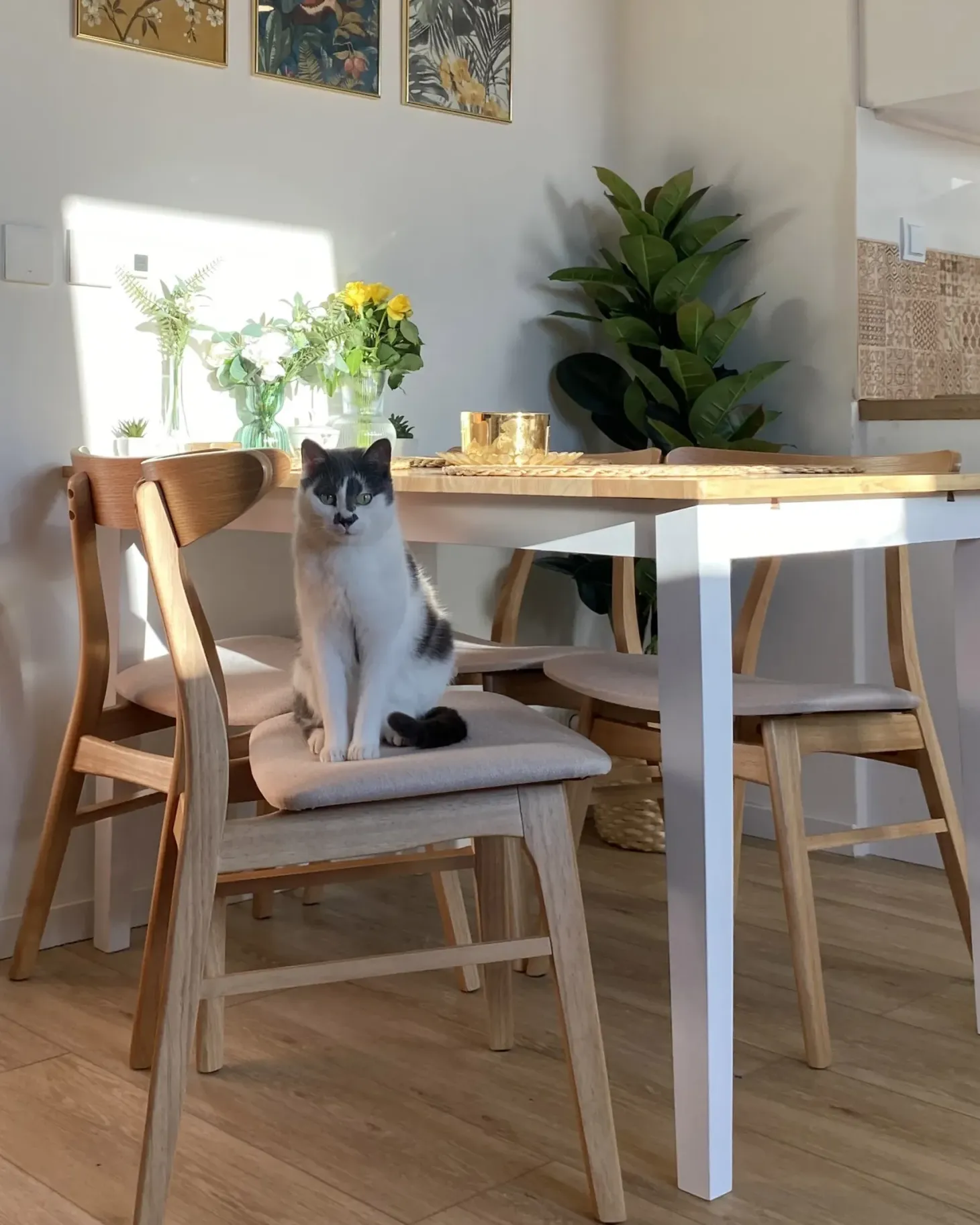 Sæt med 2 spisebordsstole LYNN Træ Lysebrun/beige