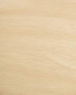 Sæt med 2 spisebordsstole MINIER Træ Lysebrun/beige