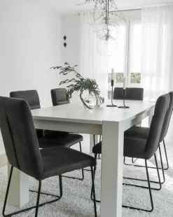 Sæt med 2 spisebordsstole NEVADA Mørkegrå