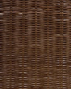 Sæt med 2 spisebordsstole ROXTON Rattan Mørkebrun