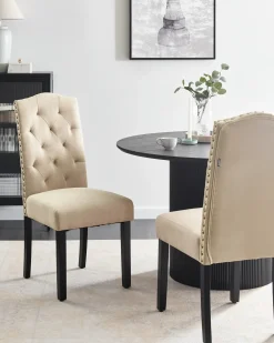 Sæt med 2 spisebordsstole SHIRLEY Beige
