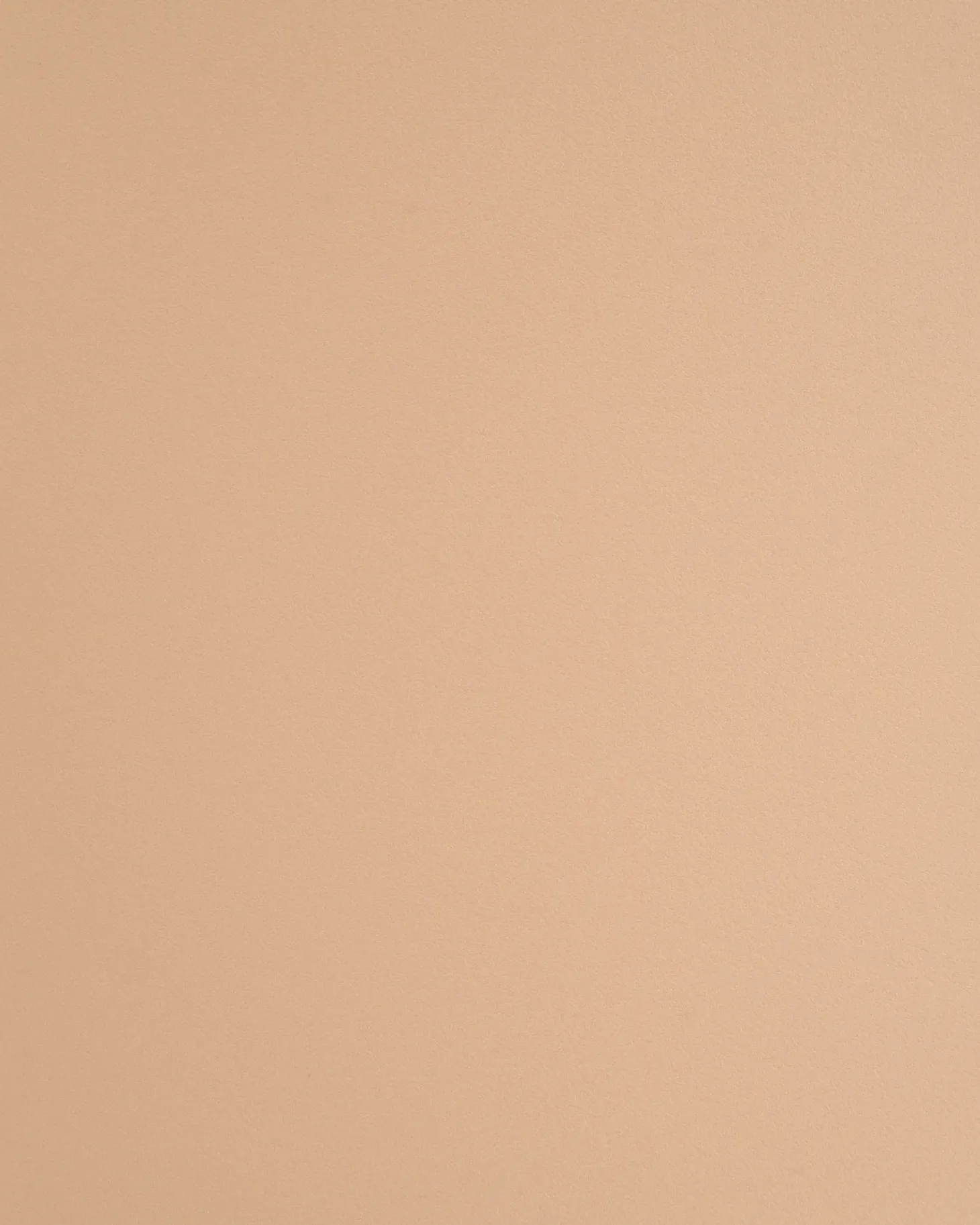 Sæt med 2 spisebordsstole WINDUST Metal Beige