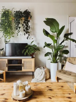 TV-bord PASCO Rattan Lysebrun