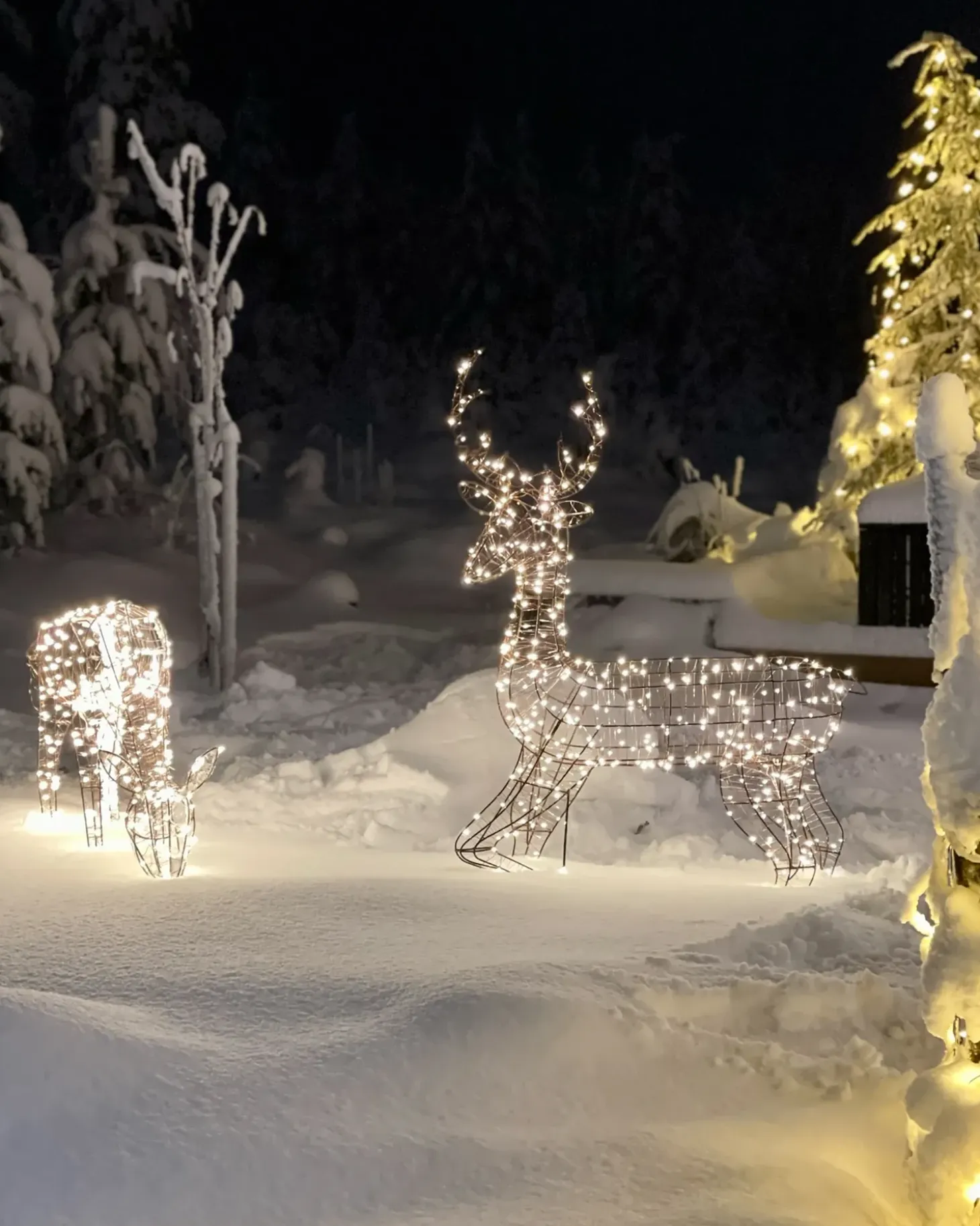 Udendørs dekoration LED MAHLATTI Rensdyr 128 cm Sort