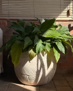 Urtepotte BAIYUN 47 cm Lys Beige