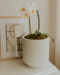 Urtepotte DARIA 30 cm Cremehvid