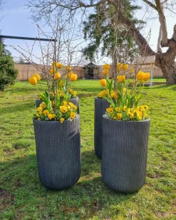 Urtepotte EANTIO 37 cm Sort