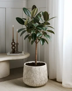 Urtepotte ERIROS 31 cm Lys Beige