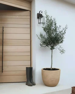 Urtepotte LIXOURI 47 cm Beige