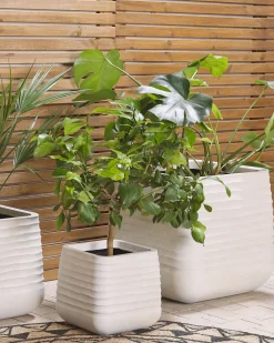 Urtepotte PARIKIA 50 cm Cremehvid