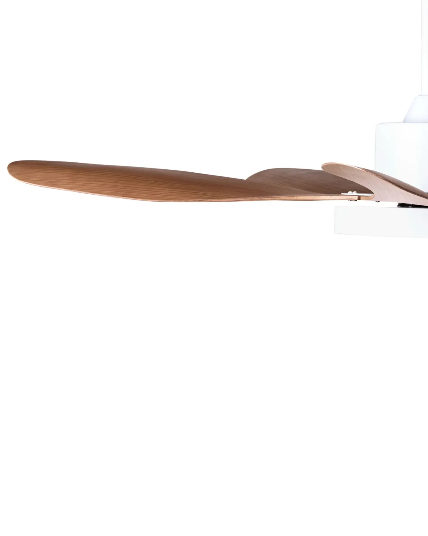 Ventilator med lys BARBET Med fjernbetjening LED Lysebrun