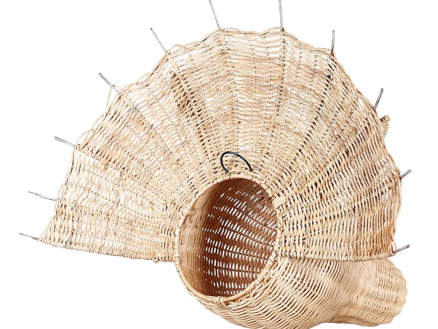 Vægdekoration Dinosaur BIOKO Rattan 44 cm Naturlig