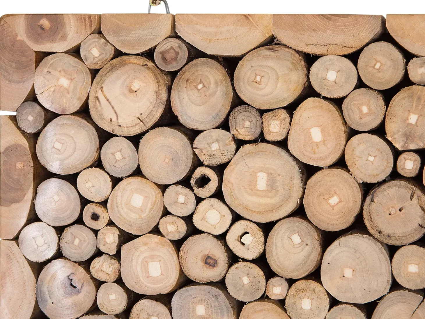 Vægdekoration TWIG Teaktræ 85 cm Lysebrun
