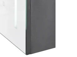Vægmonteret spejlskab til badeværelset LED CAMERON 40 cm 60 cm Sort