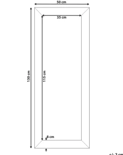 Vægspejl DERVAL 50 cm 130 cm Sølv